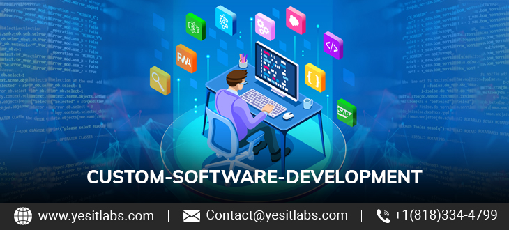 custom software development